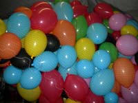 DSCN0241