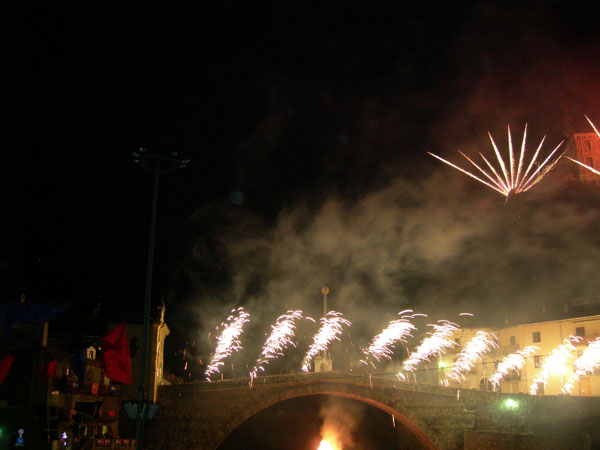 DSCN5484