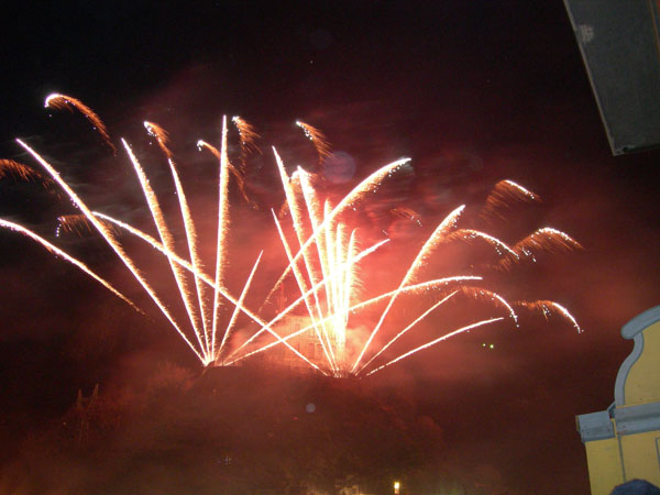 DSCN5485