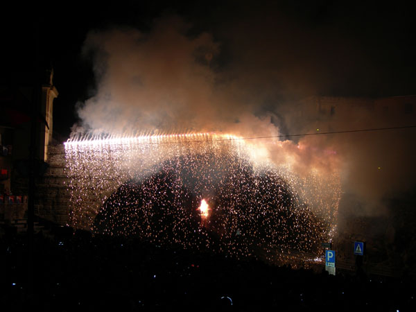 DSCN5500