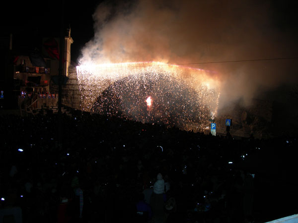 DSCN5502