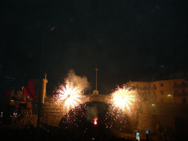 DSCN5530