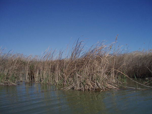 P3160031