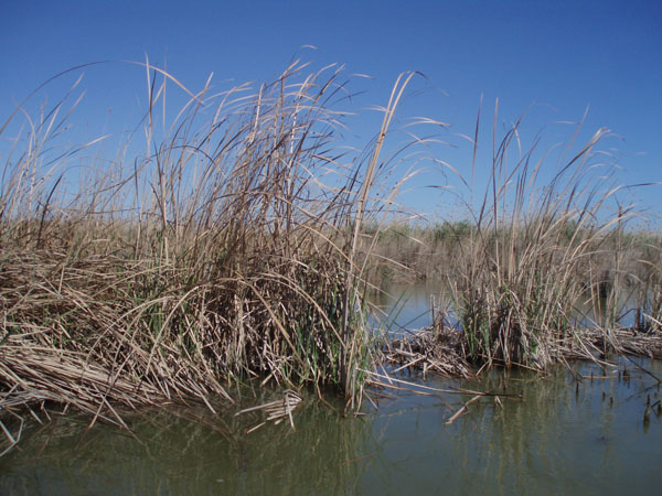 P3160034