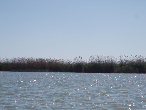 P3160040
