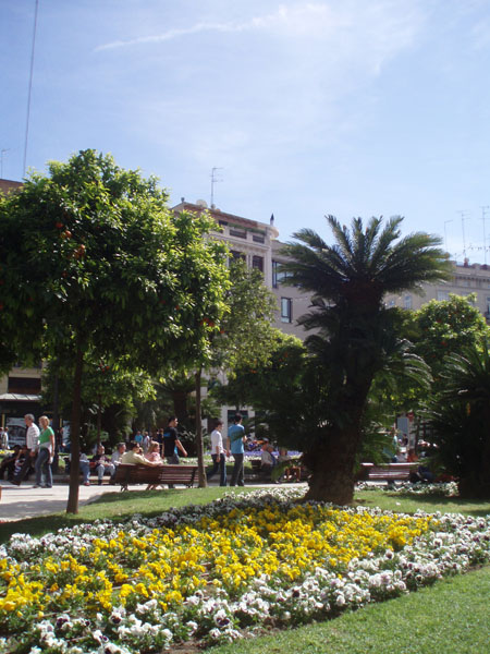 P3170118