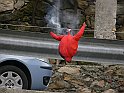 P1110720