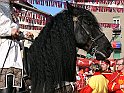 P1130093
