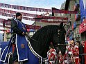 P1130237