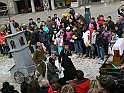 P1130499