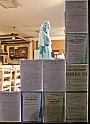 IMG_9235