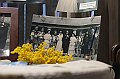 IMG_9451
