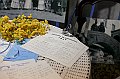 IMG_9458