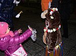 Carnevale2011_00347