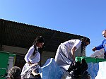 Carnevale2011_01173