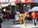 Carnevale2011_01279