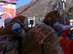 Carnevale2011_01377