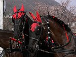 Carnevale2011_02066