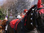 Carnevale2011_02067