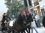 Carnevale2011_02305