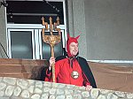 Carnevale2011_00553