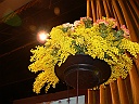 P1230174
