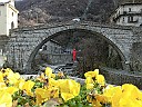 Carnevale2012_0056