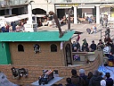 Martedi_204