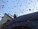 Martedi_240