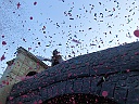 Martedi_242