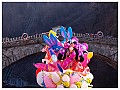 Carnevale_PSM_2012_02