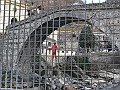 Carnevale2013_0014