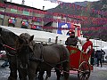 Carnevale2013_01482