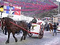 Carnevale2013_01485