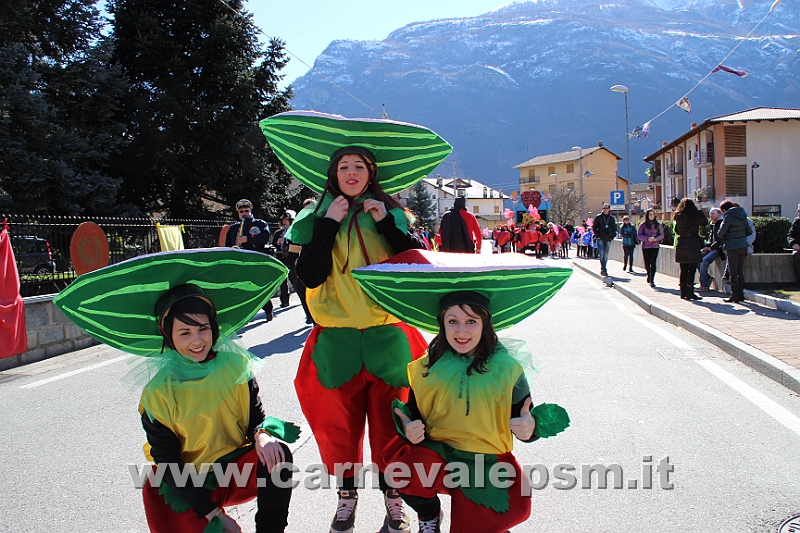 IMG_8523.JPG