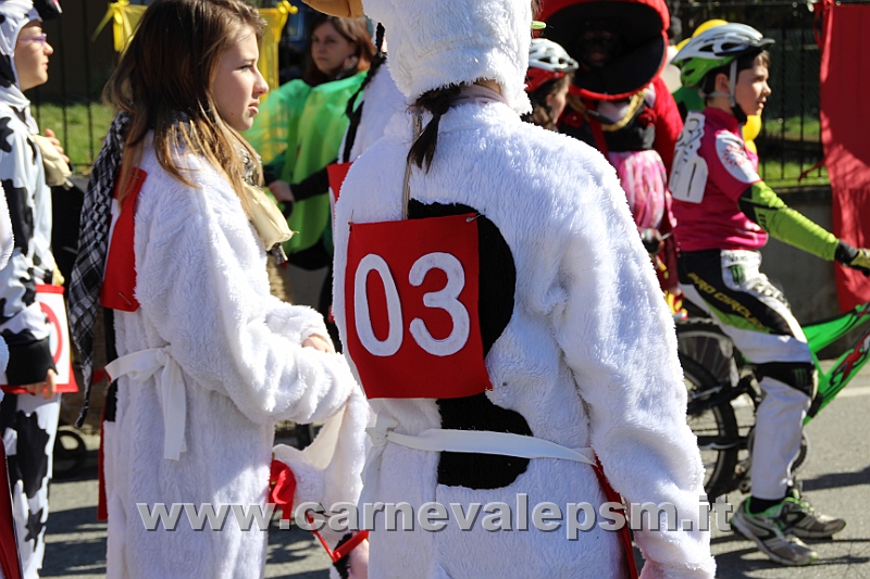 IMG_8564.JPG