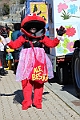 IMG_8520