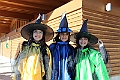 IMG_8575