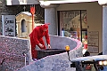 IMG_8666