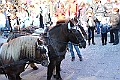 IMG_8697