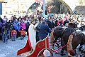 IMG_8701
