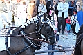 IMG_8745