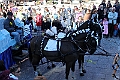 IMG_8757