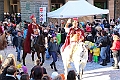 IMG_8784