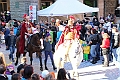 IMG_8785