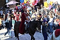 IMG_8791