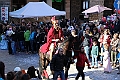 IMG_8794