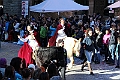 IMG_8798