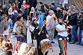 IMG_8809