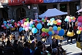 IMG_8842